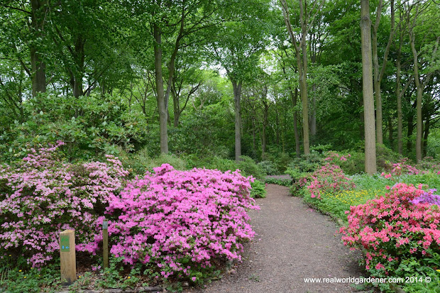 real world gardener