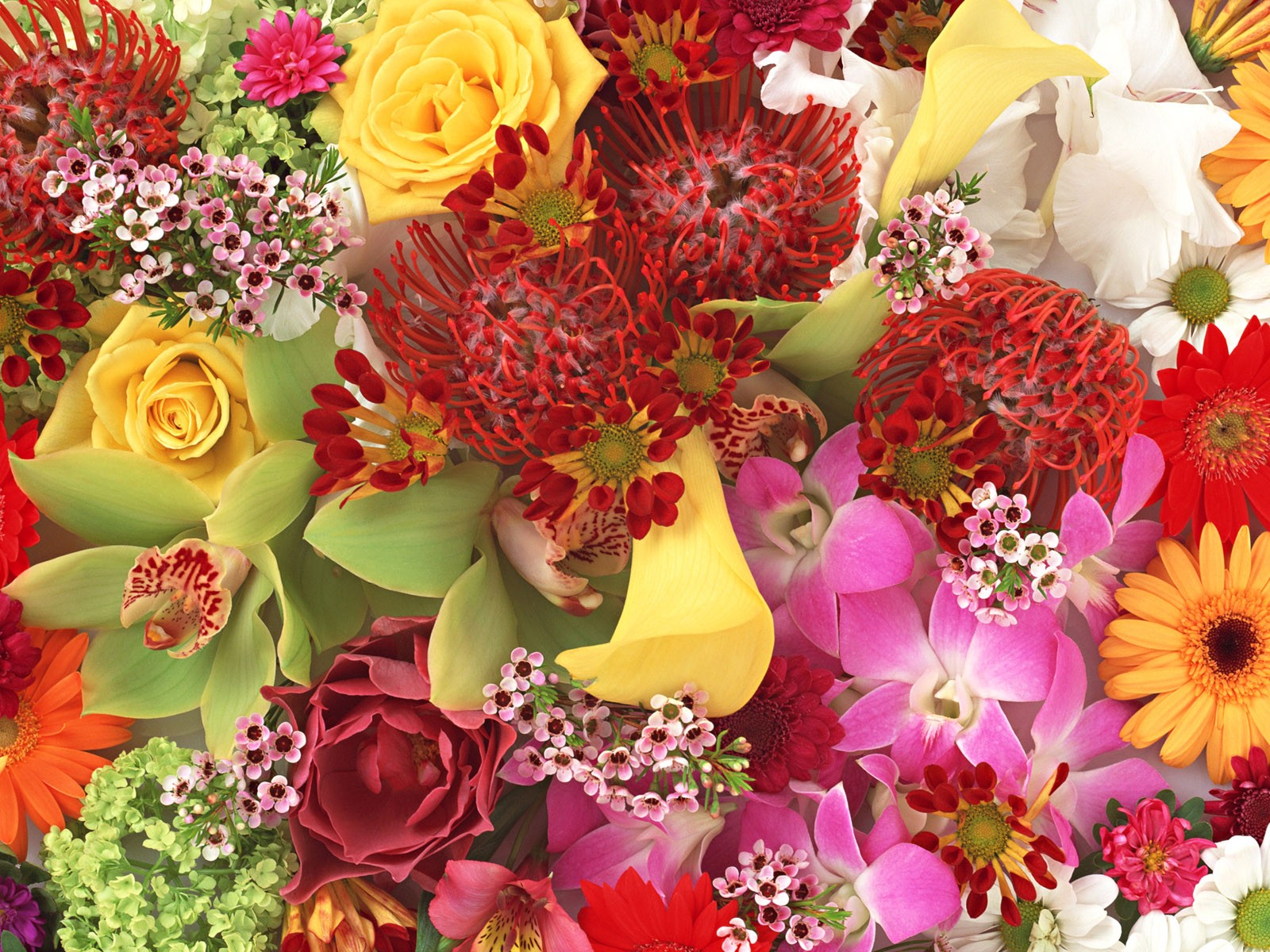 Flower Bouquet|Colorful Bouquet| Rose Bouquet