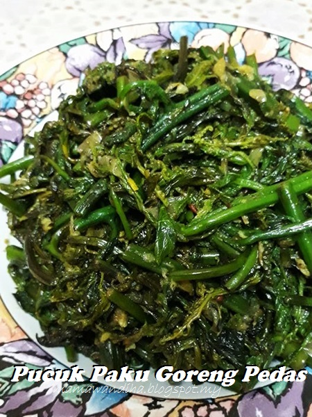 Dari Dapur Madihaa Pucuk Paku Goreng Pedas