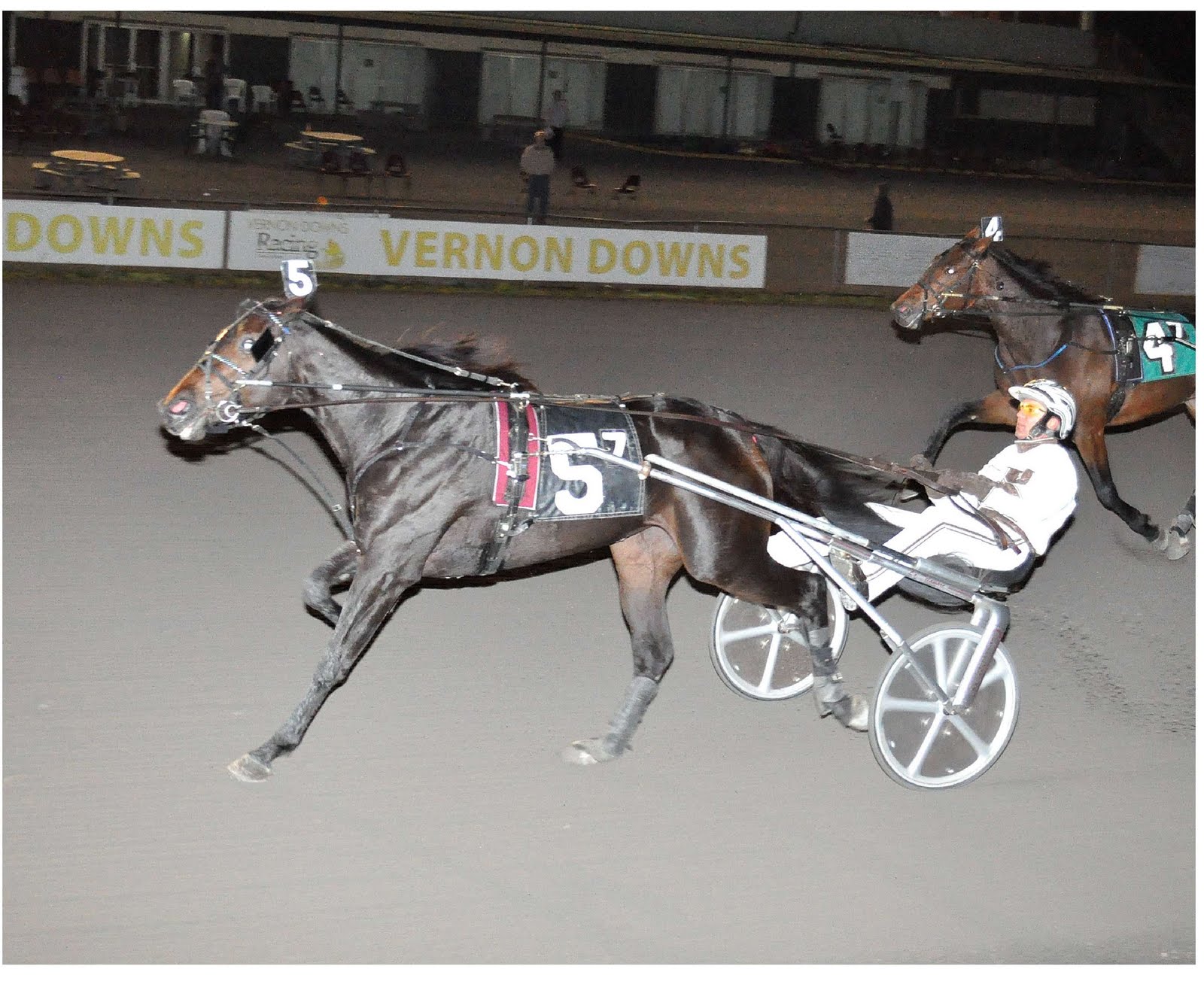 Vernon Downs Casino, Hotel & Racing News: Gym Tan Laundry and Lady Andi ...