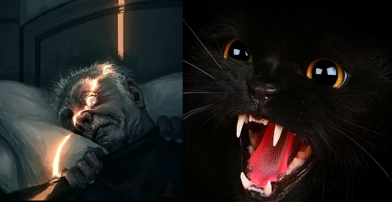 Journey Into...: Journey #129 - The Tell-Tale Heart and The Black Cat