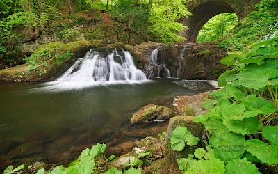 Beautiful Lush Green Waterfall Full HD Nature Wallpapers for Laptop Desktop Widescreen