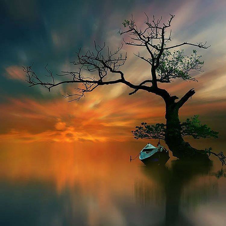 Amazoncom: Customer reviews: FRONTLINE: Ten Trillion and