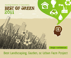 2011 Best of Green Winner!