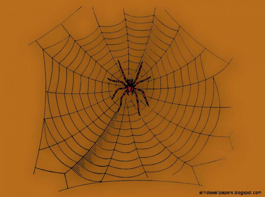 All Things Halloween   Wallpaper