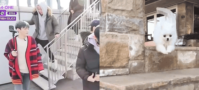 KakaoTalk_Moim_4yEba3sucTrwTjl9ksxDvswMX