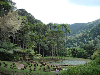 Jardin de balata Martinique