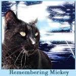Remembering Mickey