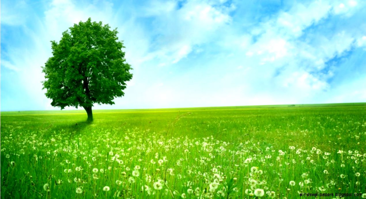 nature backgrounds free 2016  Zellox