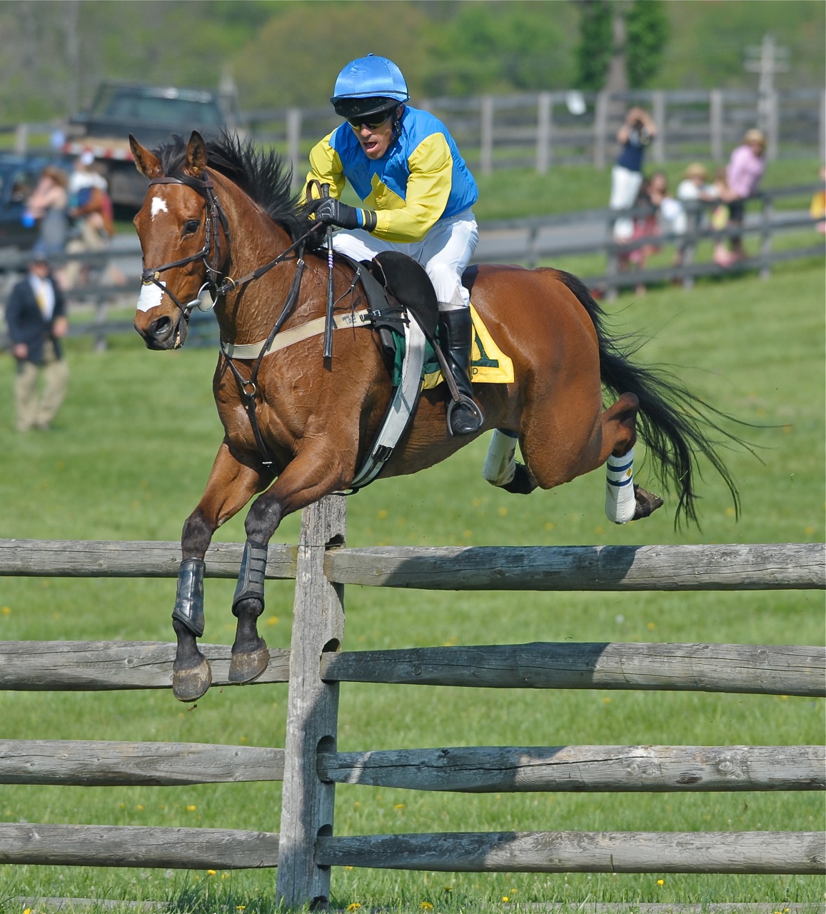 Virginia Blog Cup: DOUGLAS LEES' PHOTOS OF THE MARYLAND HUNT CUP