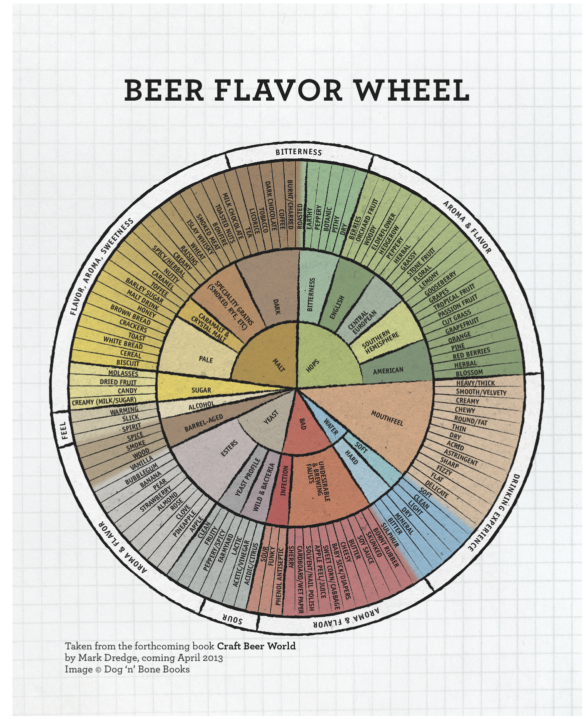 Mark Dredge Beer A New Beer Flavour Wheel Mark Dredge Beer A New Beer Flavour Wheel