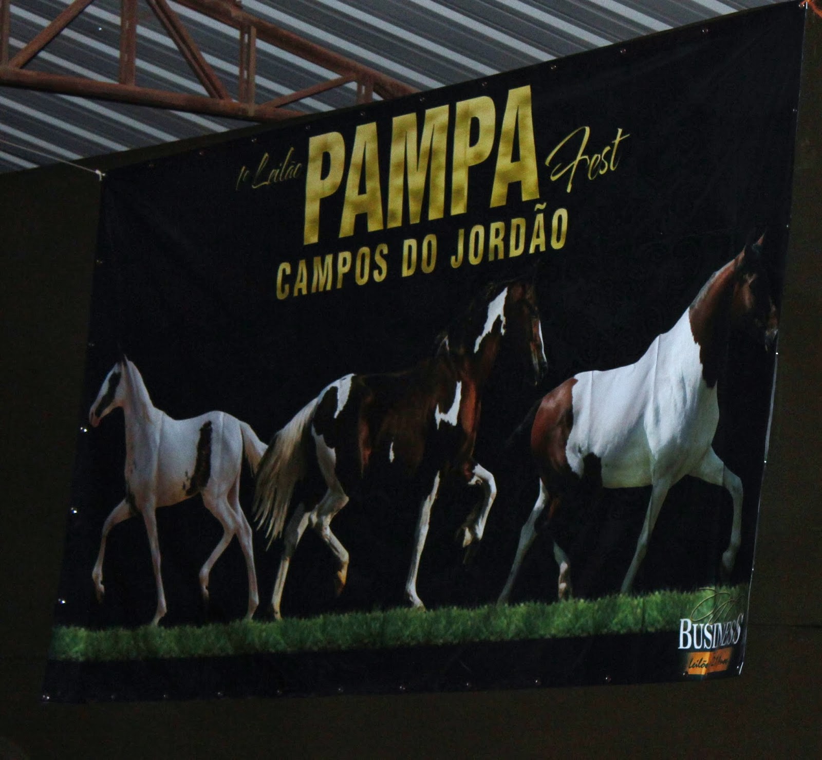 Estylo & Campo " Pampa Fest " O Óscar da pelagem Pampa Brasileiro