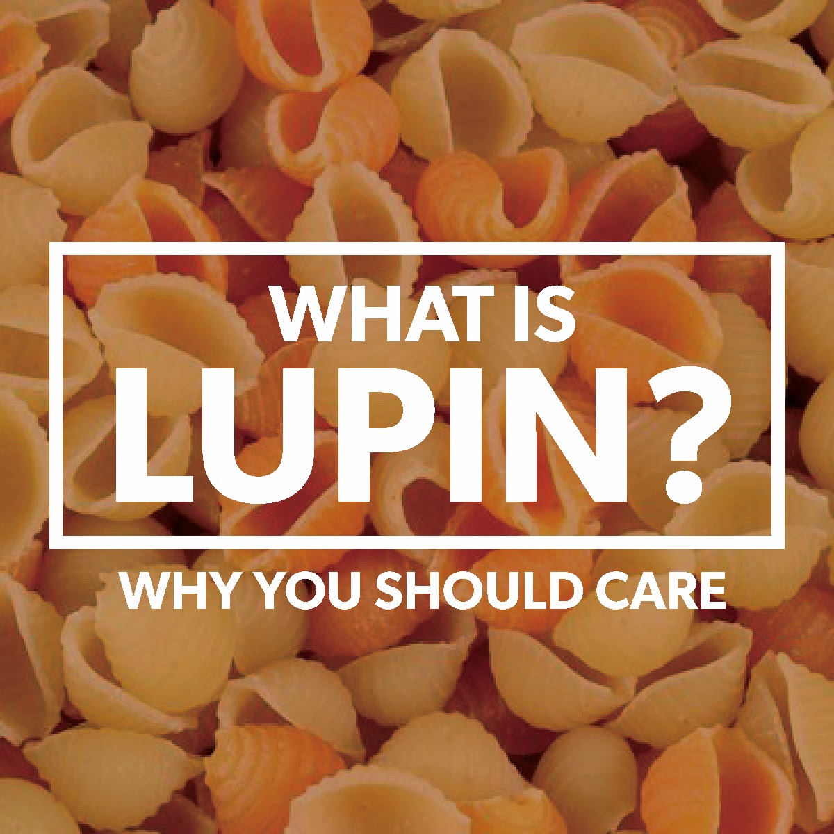 the-main-dish-what-is-lupin-why-you-should-care