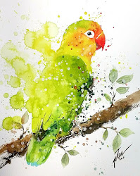 watercolor animals paintings colorful bird taco tilen pet commission lovely piece etsy ti lovebird watercolour designstack sold