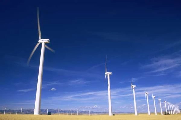 wind farm or wind power plant
