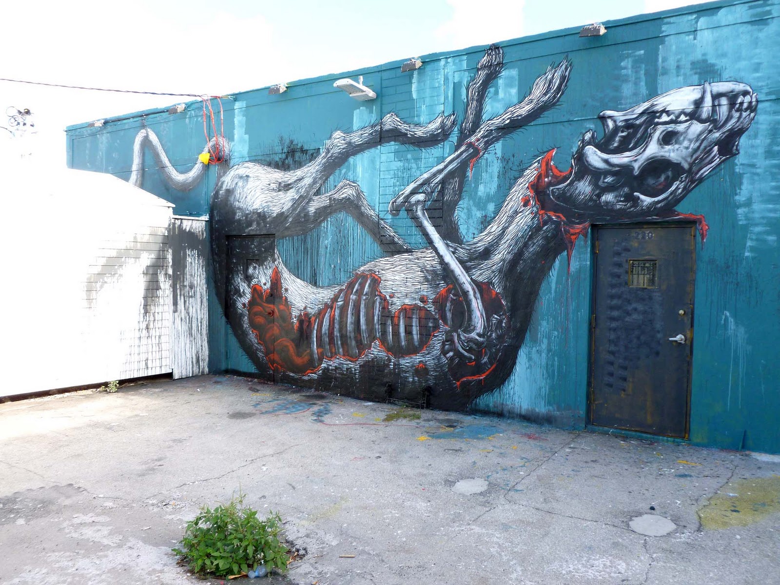 Roa New Mural In Miami StreetArtNews