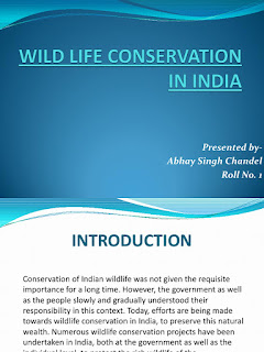   wildlife conservation efforts in india icse project, list of wildlife conservation projects in india, wildlife conservation efforts in india icse project pdf, wildlife conservation efforts in india conclusion, icse geography projects class 10, wildlife conservation efforts in india essay, school project on wildlife conservation, wildlife conservation efforts in india ppt, wildlife conservation efforts in india encyclopedia