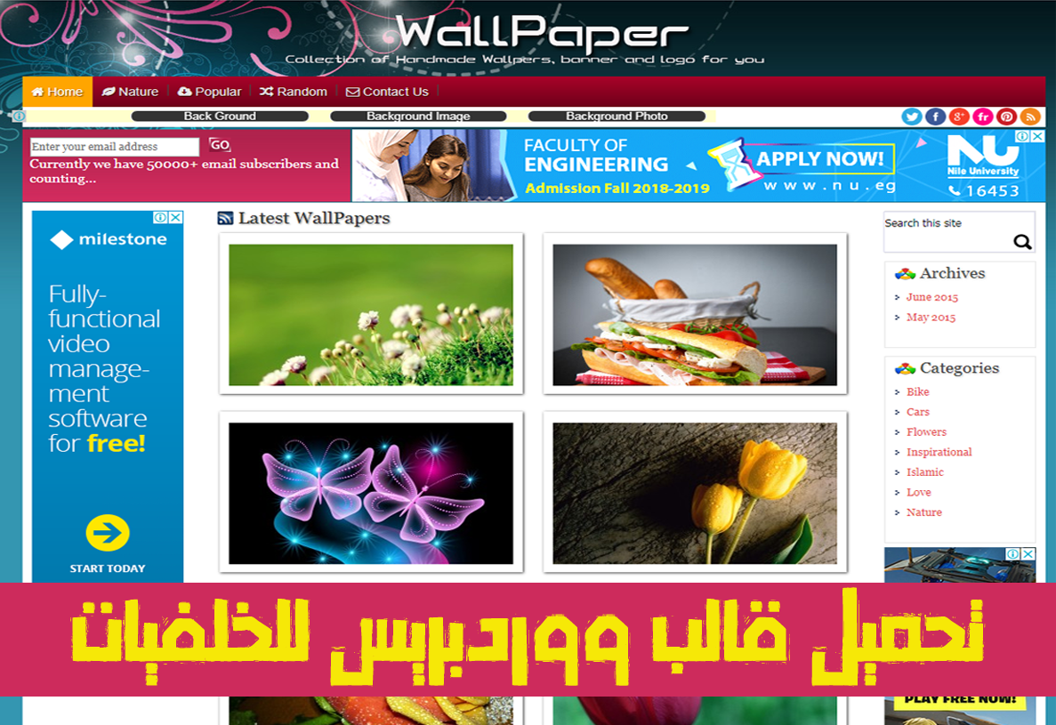 تحميل قالب ووردبريس للخلفيات تحميل قالب ووردبريس للخلفيات