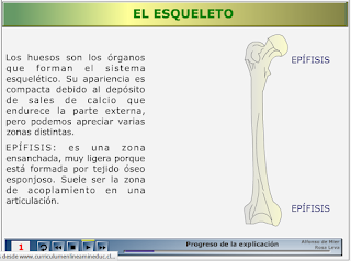 http://www.curriculumenlineamineduc.cl/605/articles-25419_recurso_swf.swf