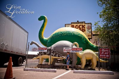 Holbrook, Arizona rock shop dinosaur statues, New Braunfels photographer
