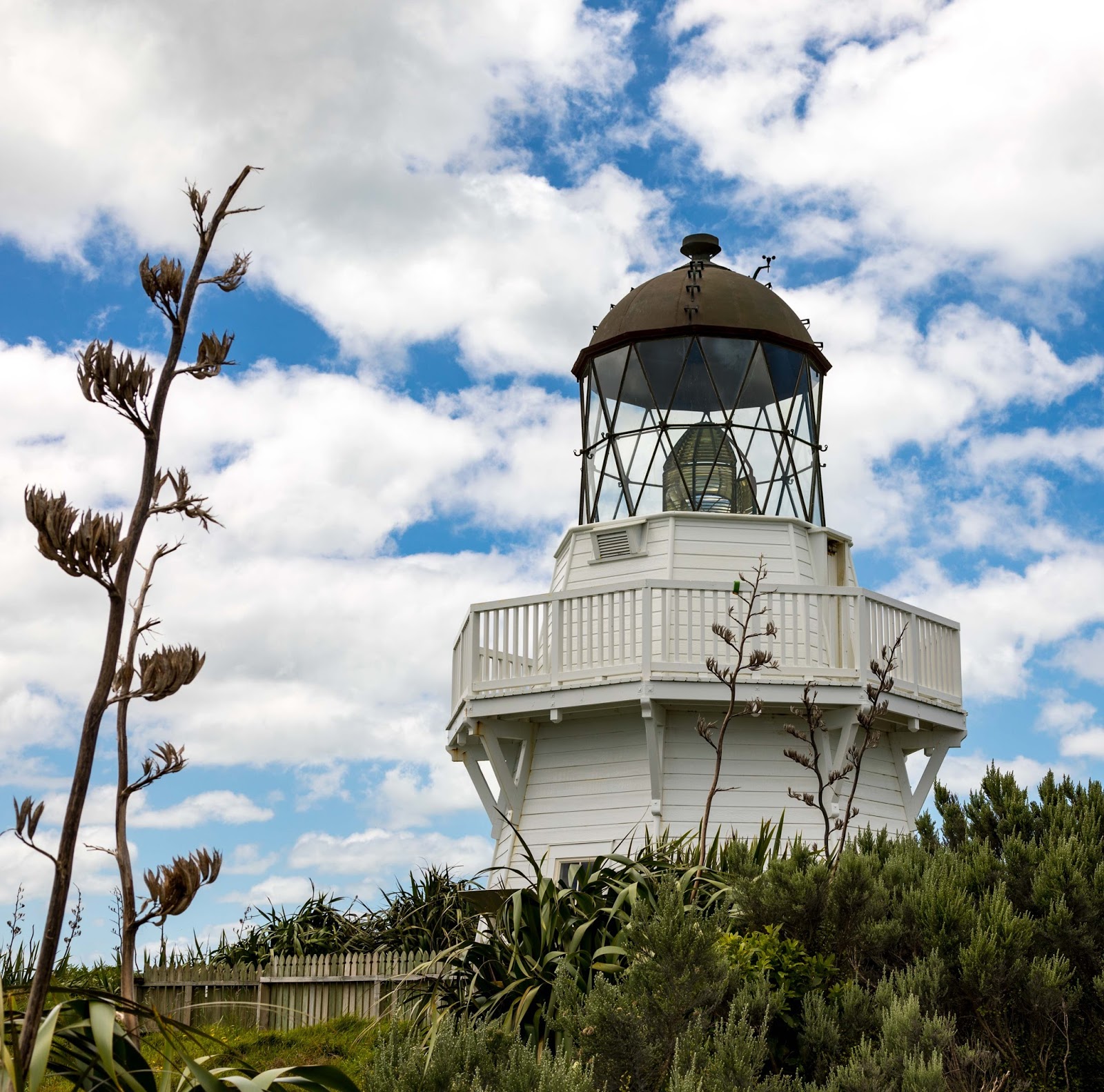 A Kiwi at the camera Manukau Heads lighthouse