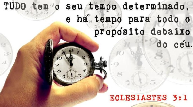 Blognetto: Há tempo para tudo