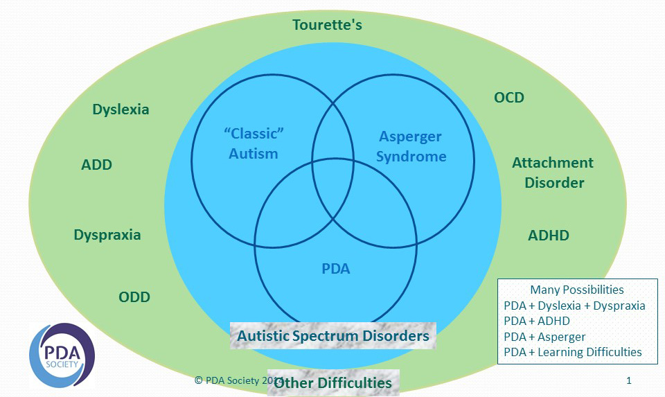 challenging behaviour odd or pda stephs two girls autism venn diagram