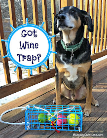 Got The Wine Trap?  Teutul does. #Gloucester #Wine #LapdogCreations ©LapdogCreations #sponsored