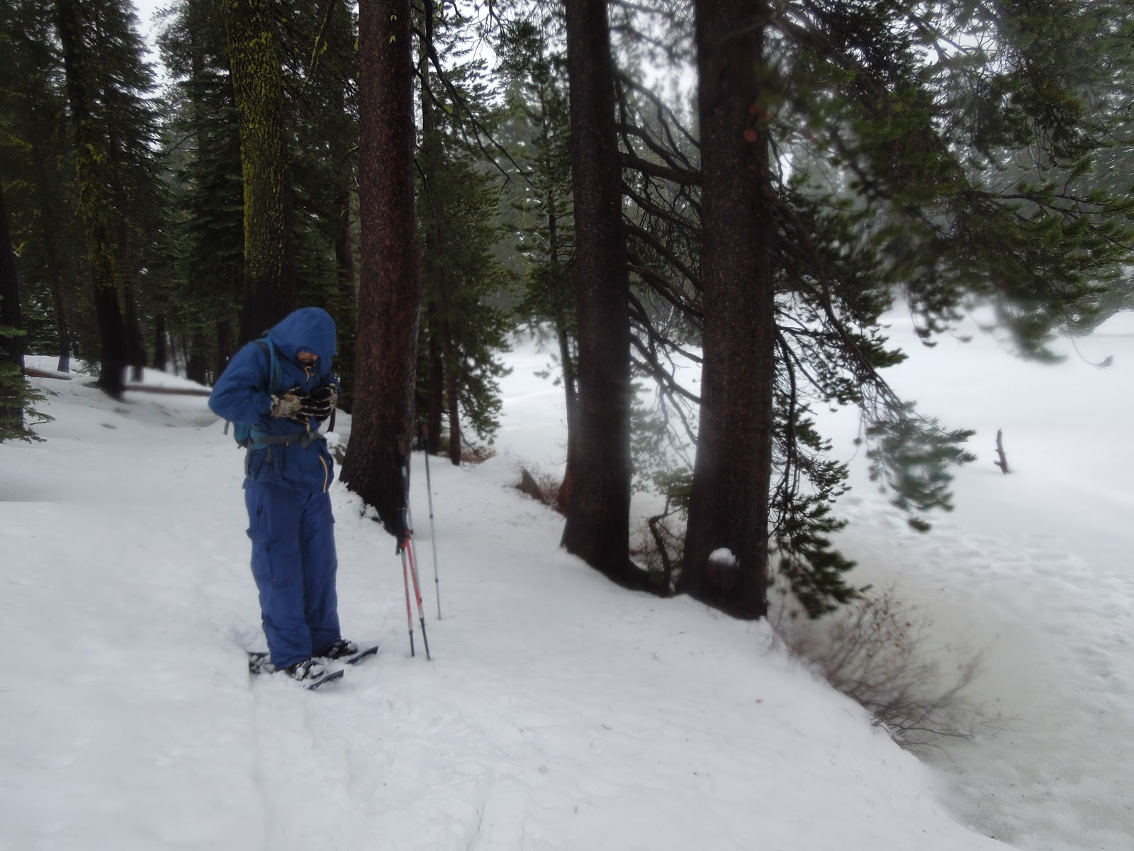 Peachy Hiker Donner PCT TH to Flora Lake Snowshoeing in 2012 with