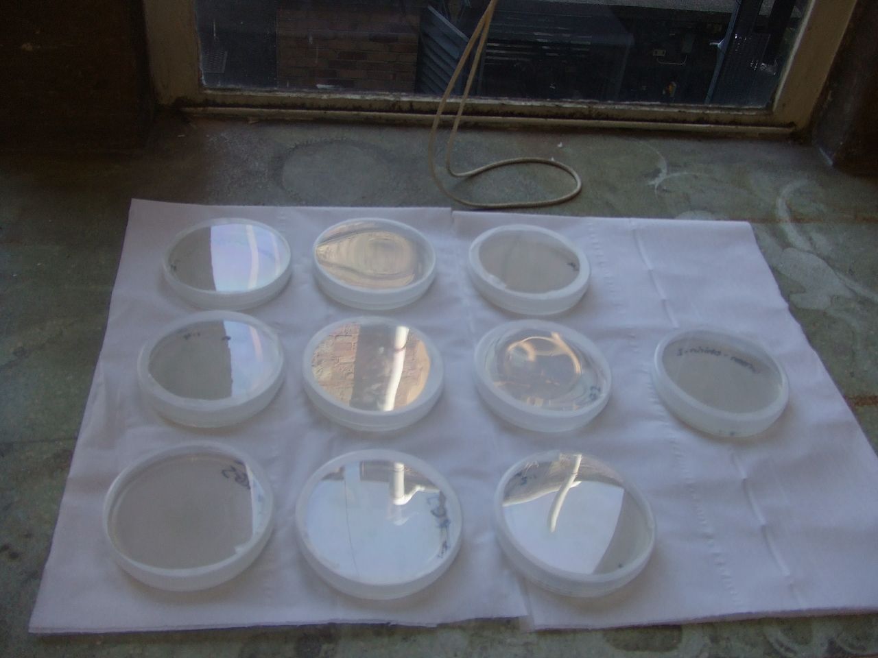 Bristol University Life-Science Art Project: Days 12/13 (April 16th and ...