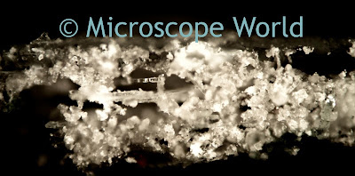 metallurgical microscope image