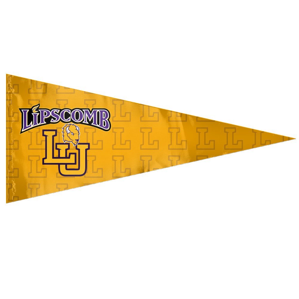 University Ultimate Tailgate Can Cooler