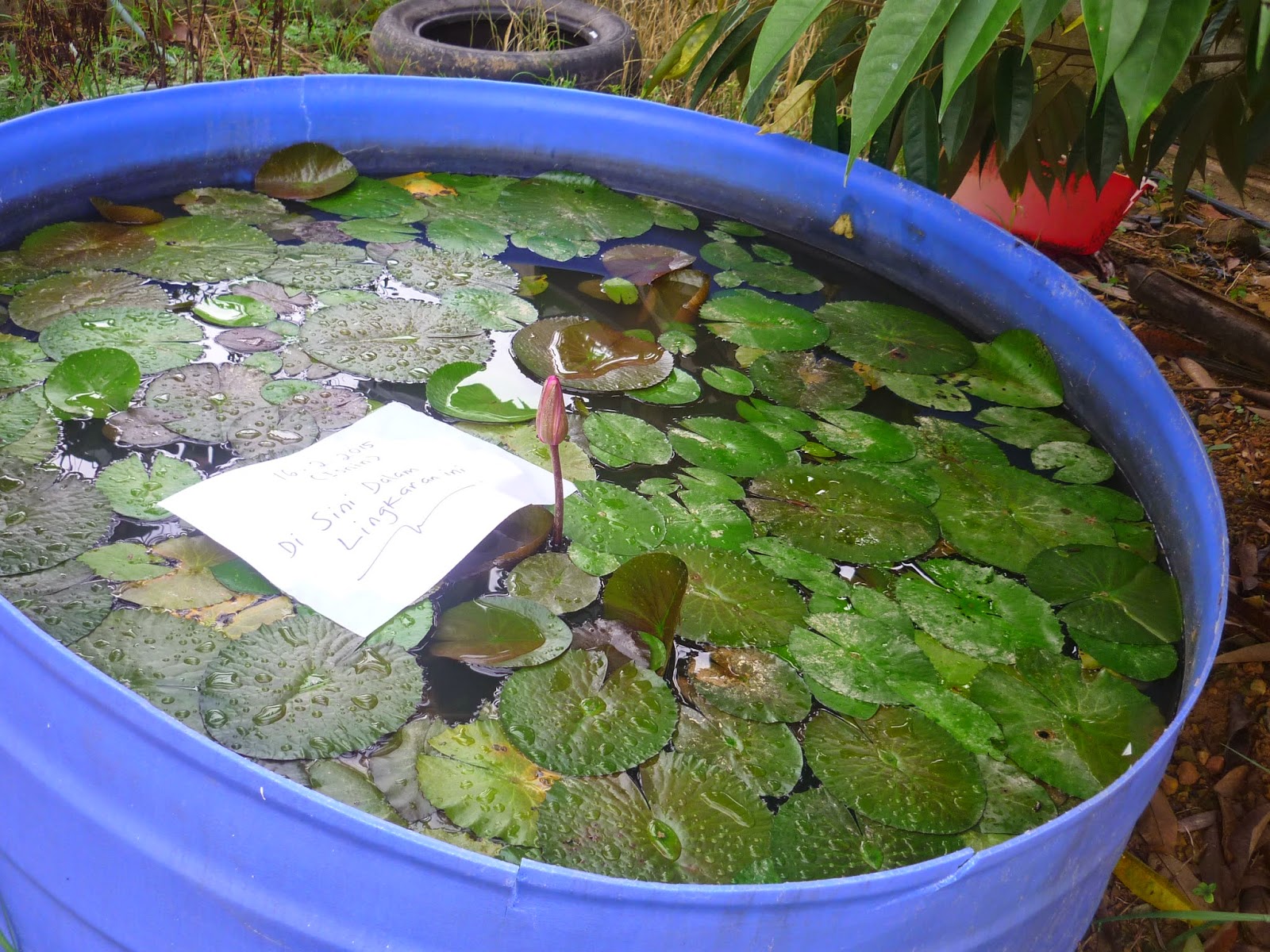 Disini dalam lingkaran ini: Bila ku intai