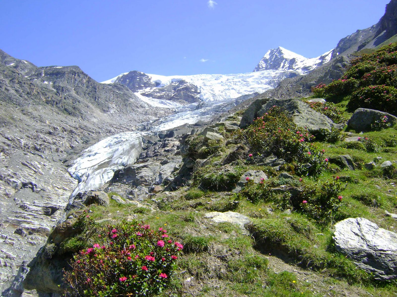 La rimaye: l'amour des montagnes: Balfrin (3795m) - Gross Bigerhorn ...