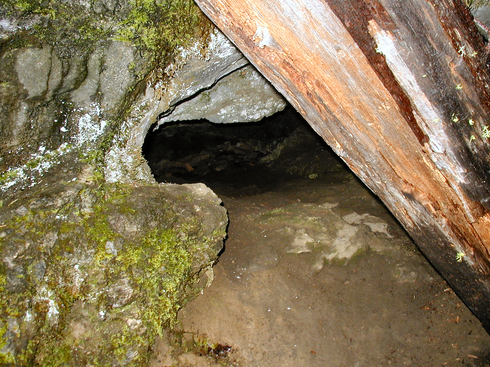 Oregon Caves National Monument, Oregon