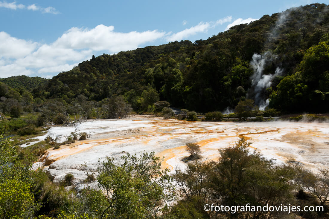 Marbel terrace o terrazas de mármol en el valle volcánico Waimangu, Rotorua Marbel terrace o terrazas de mármol en el valle volcánico Waimangu, Rotorua