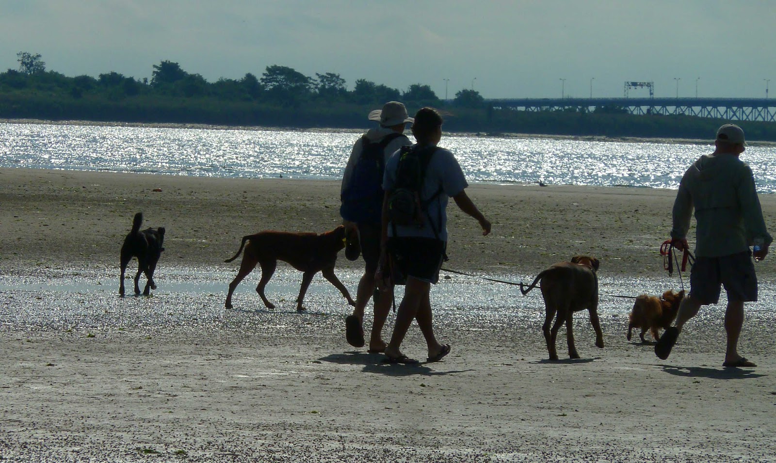 Committee for Responsible Dog Ownership