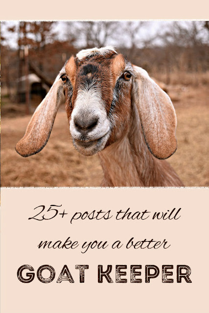 More than 25 articles on goat care, fencing, goat kids, disbudding, kidding and more - so you can be a better goat keeper.