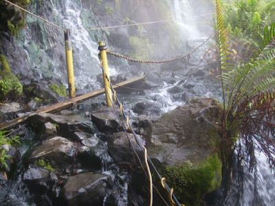 Gunung Gede-Pangrango: Objek Wisata, Harga Tiket, Jalur Pendakian