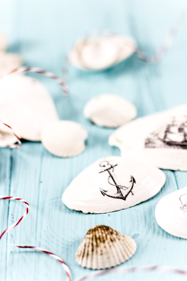 DIY Muscheldeko DIY Muscheldeko