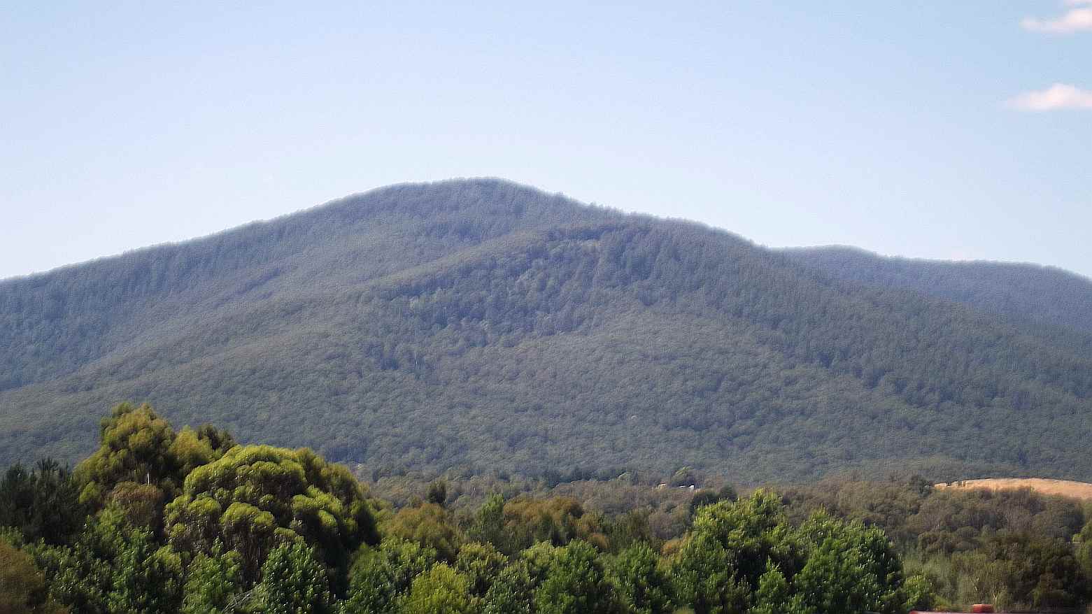 TRACKS, TRAILS AND COASTS NEAR MELBOURNE Warburton Rail Trail
