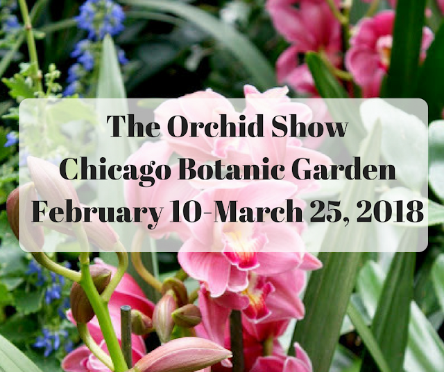 The Orchid Show at Chicago Botanic Garden