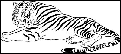 Ausmalbilder Zum Ausdrucken Ausmalbilder Tiger