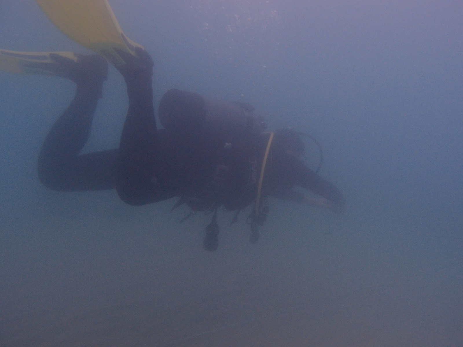 OKINAWA 39ers Dive Log: Kin Red Beach