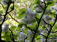 �����_�����@��