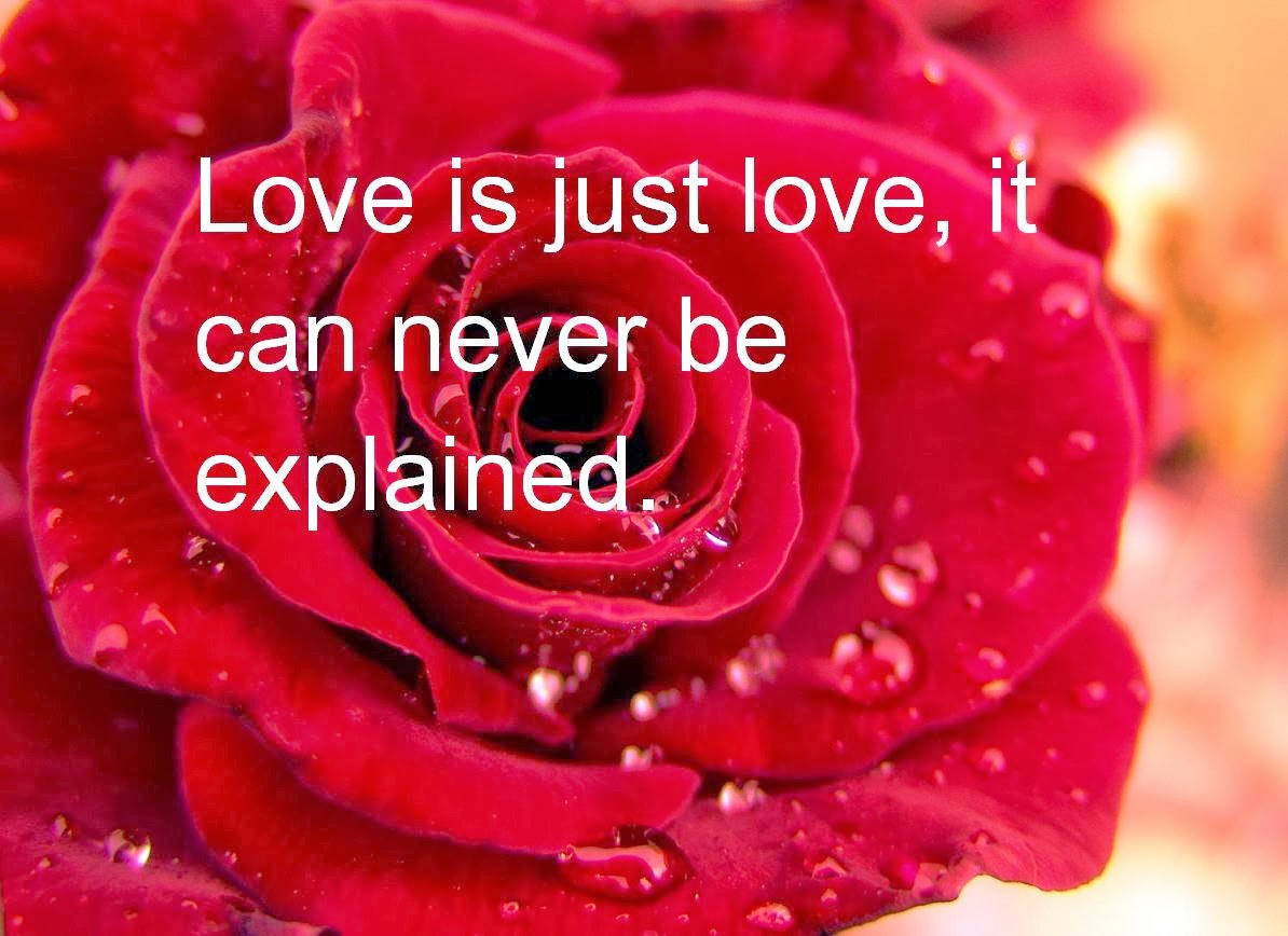 Lovely Day Quotes For Him Valentines Day Quotes Valentines Day Quotes Source Abuse Report