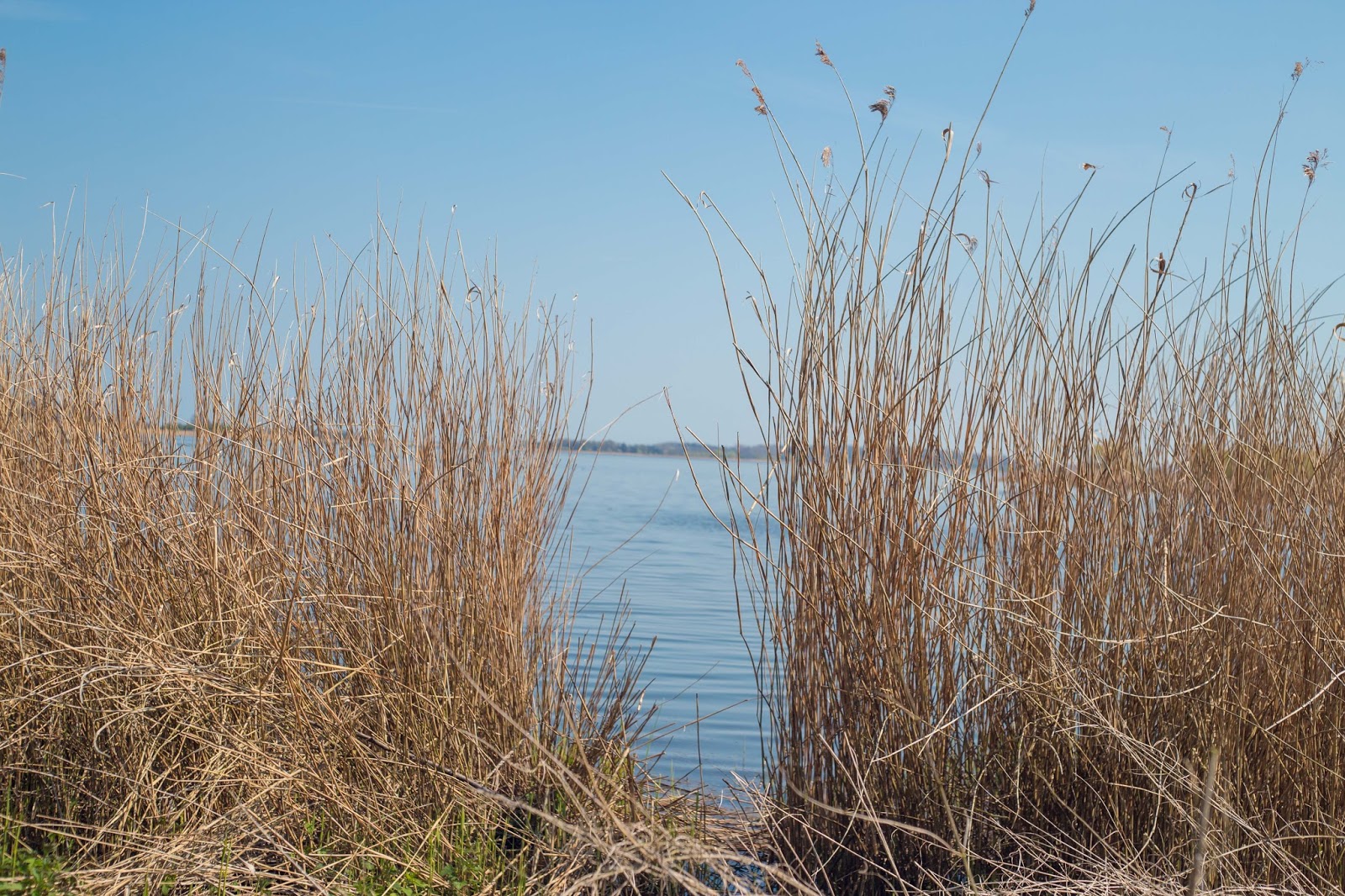 16 Dezember Give Away Zwei Ubernachtungen In Kopenhagen