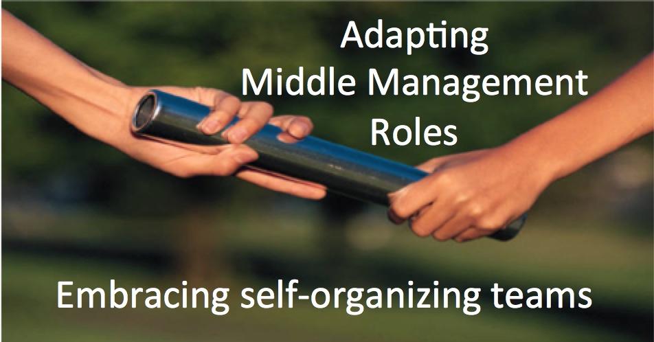 Agile Adoption Roadmap The Role Of Middle Management In An Agile World agile-adoption-roadmap-the-role-of-middle-management-in-an-agile-world