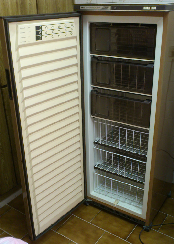 Blog Bazar dos Usados e NOVOS também Freezer Prosdócimo 110v