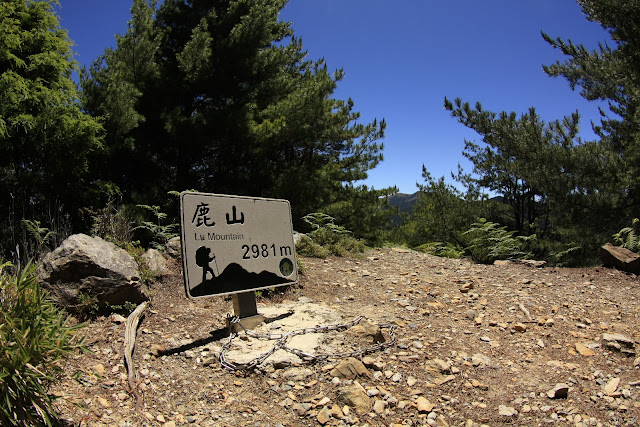 鹿山為玉山後四峰中最遙遠的一座百岳，為台灣百岳排名第一百名。